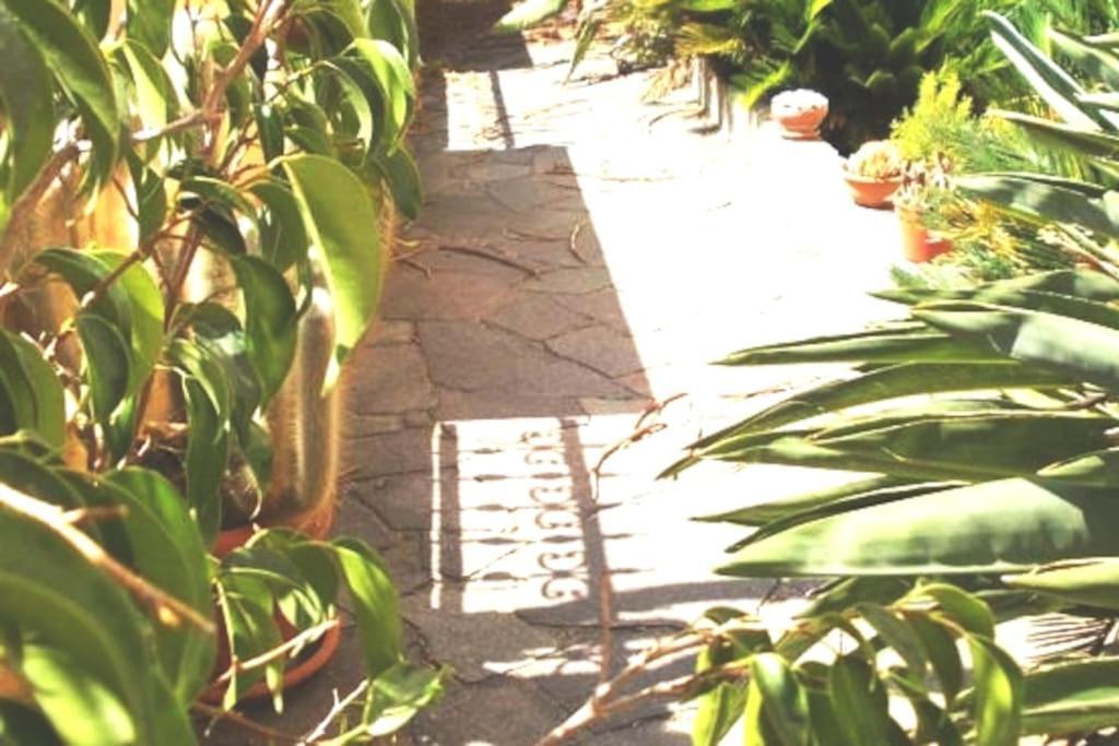 B&B Italia Milis Esterno foto